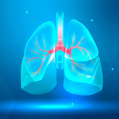 УЗИ плевральной полости