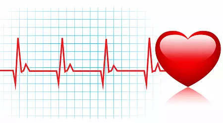 Кардиологическая программа: "Проверь своё сердце"