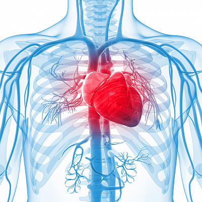 Ведение пациентов с ишемической болезнью сердца